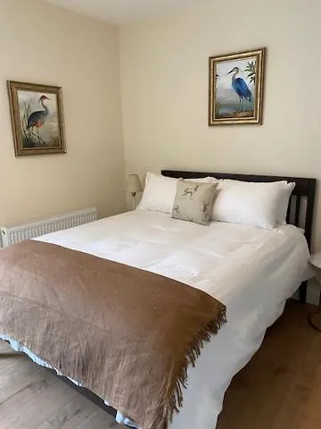 게스트하우스 House