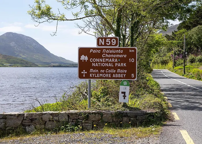 House 게스트하우스